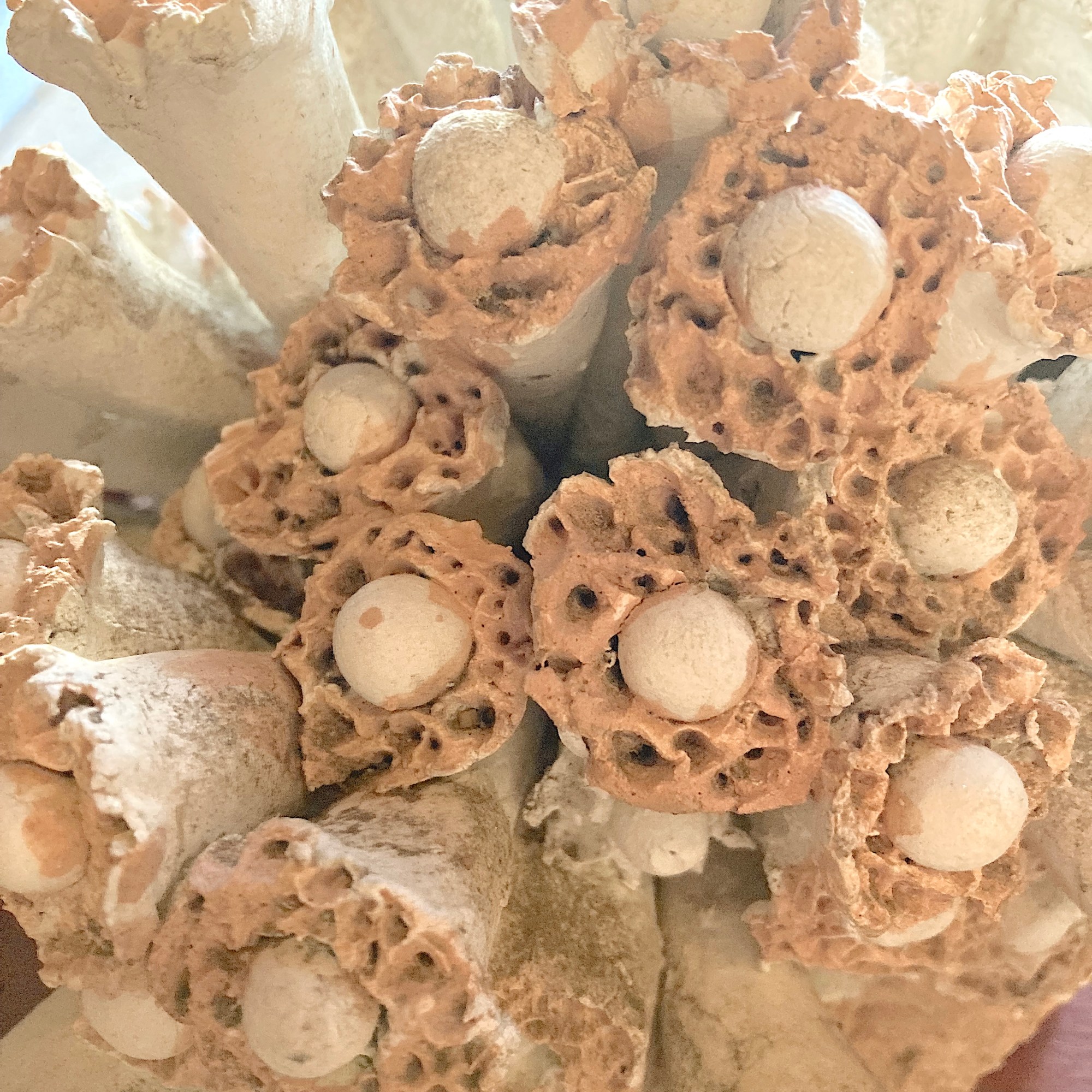 Sculptures et assemblages créatifs en matériaux recyclés par Clarence Rousselle.