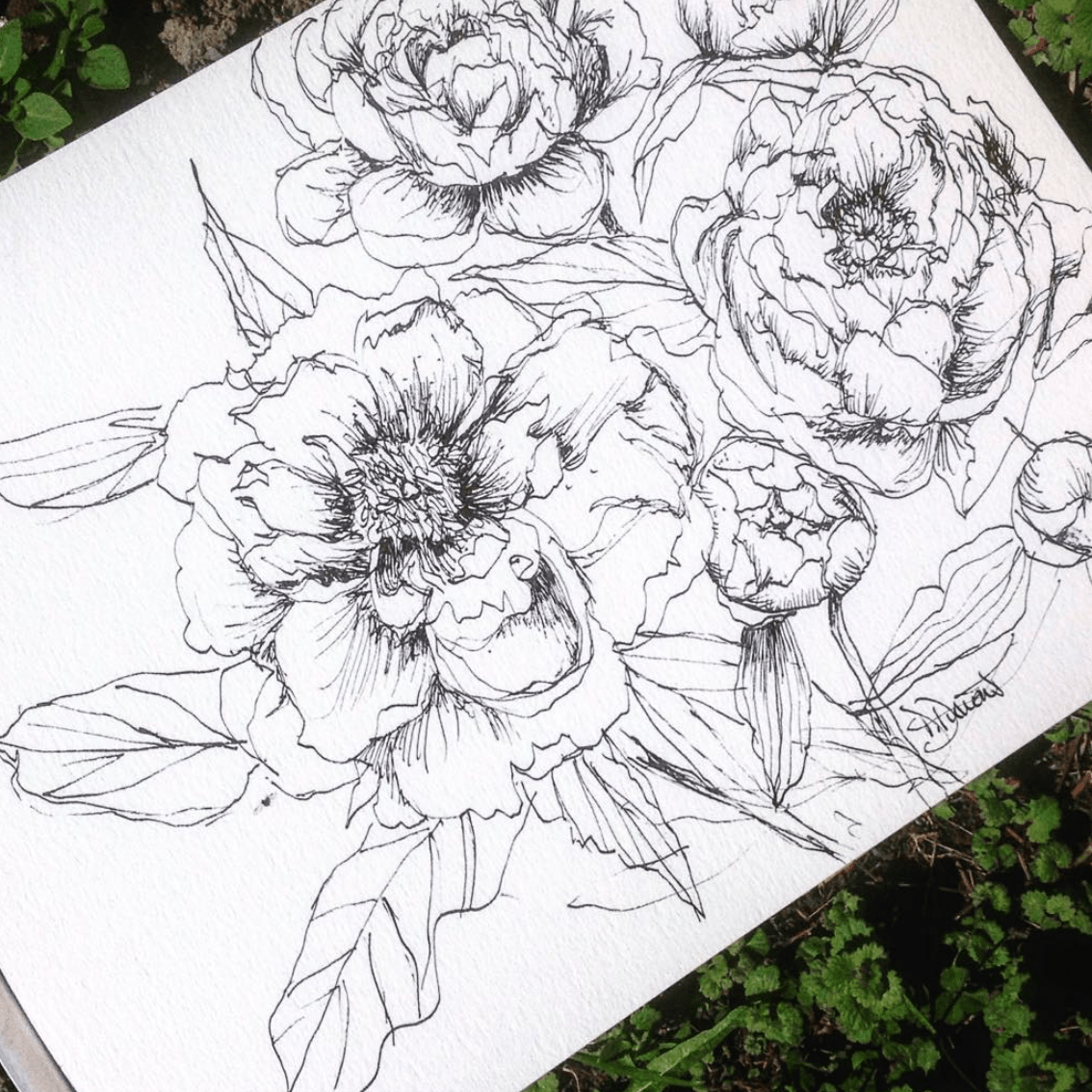 Aquarelles, peintures et dessins inspirés du Bas-Saint-Laurent par Dominique Dumont | domdum.