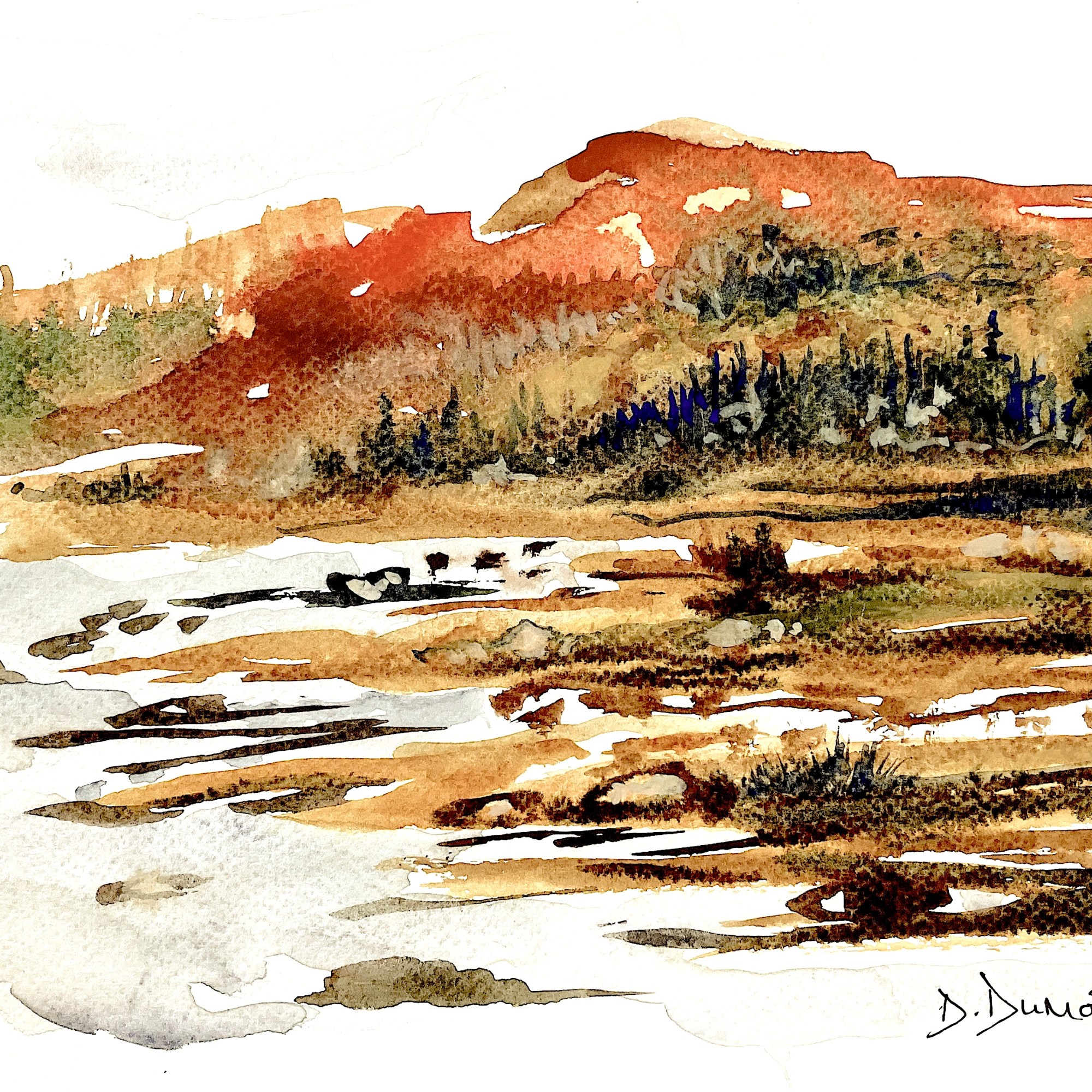 Aquarelles, peintures et dessins inspirés du Bas-Saint-Laurent par Dominique Dumont | domdum.