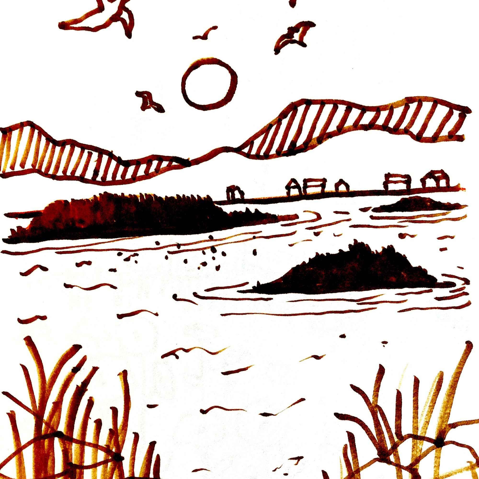 Aquarelles, peintures et dessins inspirés du Bas-Saint-Laurent par Dominique Dumont | domdum.