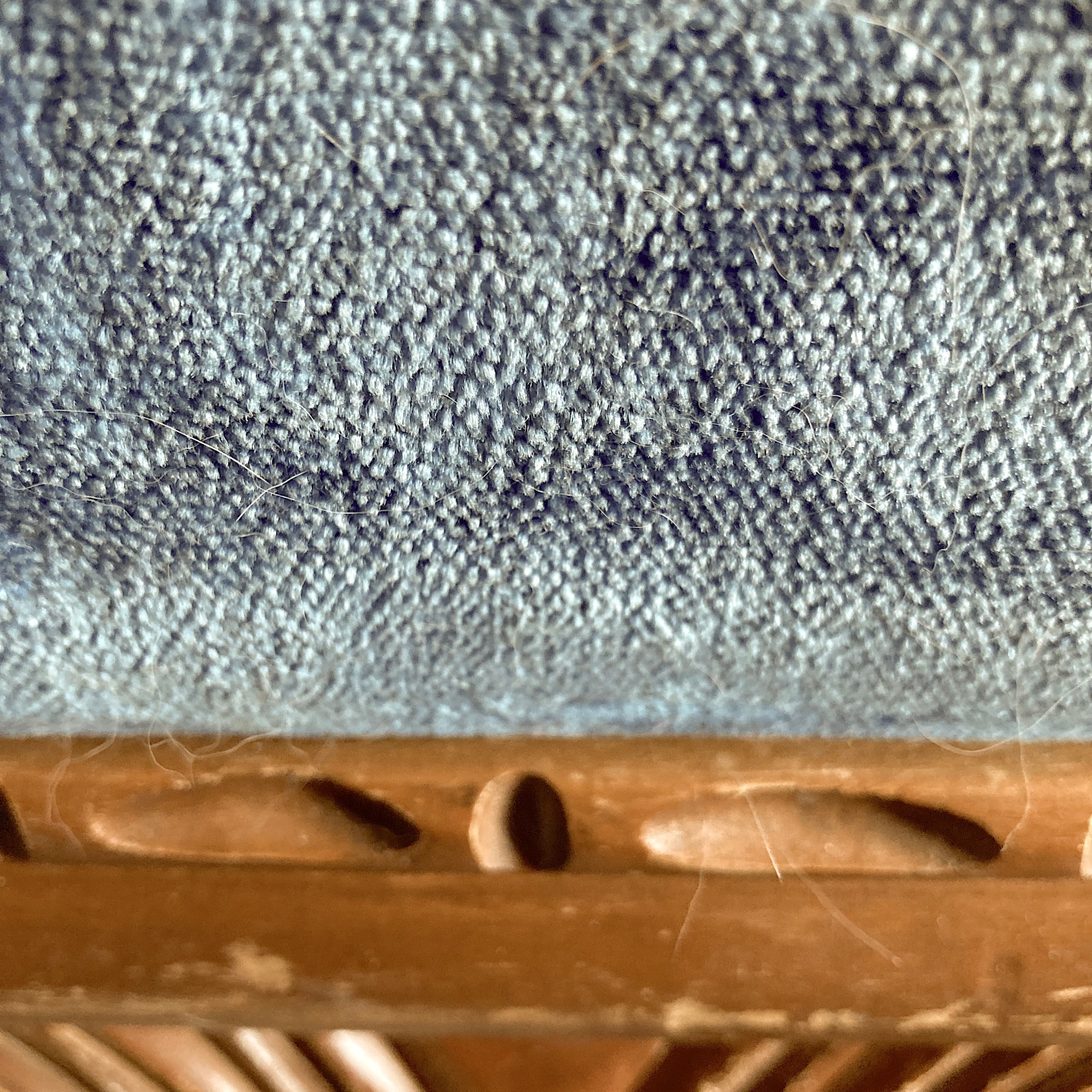 Photographe, cinéaste et musicien interdisciplinaire du Bas-Saint-Laurent, Sébastien Rioux.