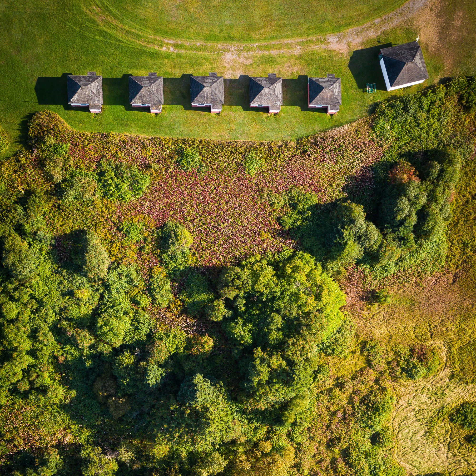 Photographe, cinéaste et musicien interdisciplinaire du Bas-Saint-Laurent, Sébastien Rioux.