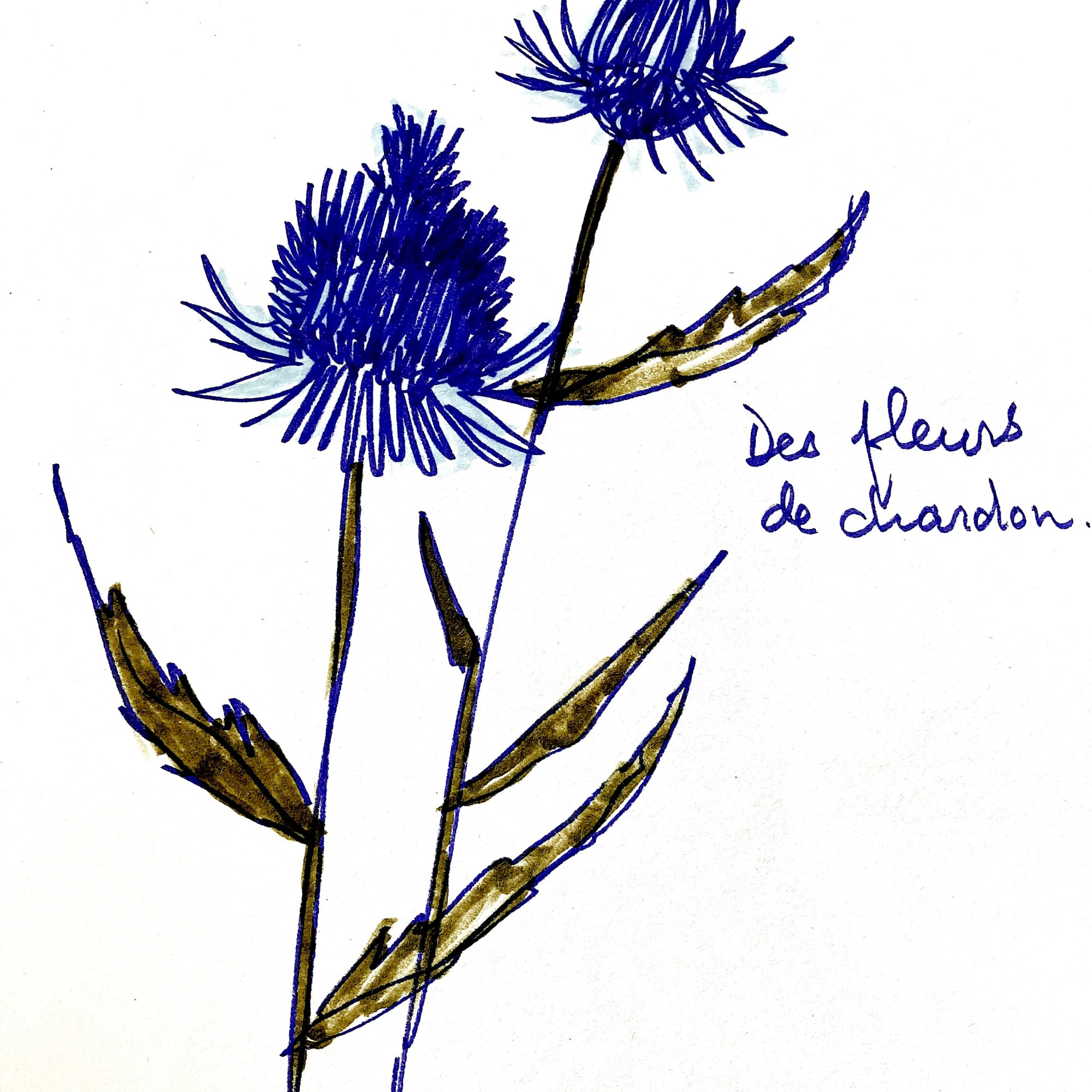 Aquarelles, peintures et dessins inspirés du Bas-Saint-Laurent par Dominique Dumont | domdum.