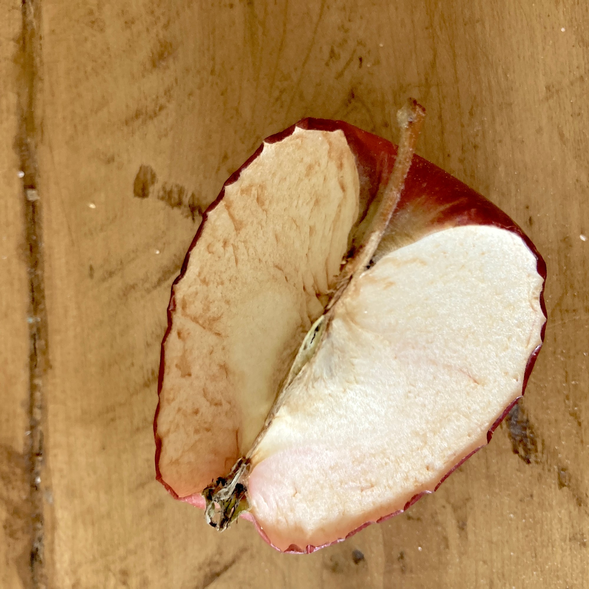 Sacs et accessoires en cuir recyclé, maroquinerie artisanale par Ariane Breault | Bolito | Cornuto Craft.